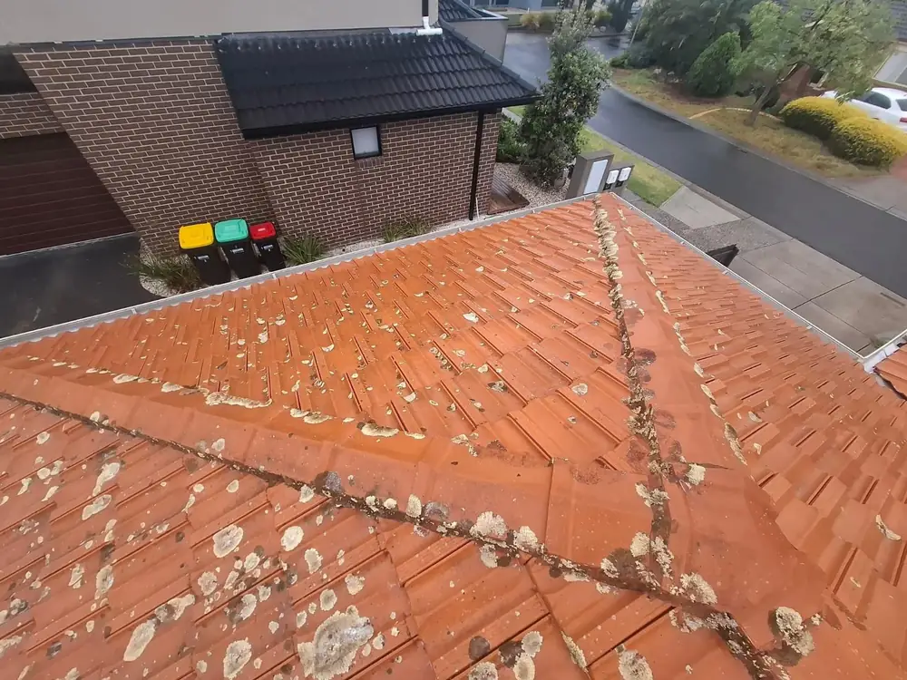 Before: orange tiles with lichen on the tiles and ridge caps